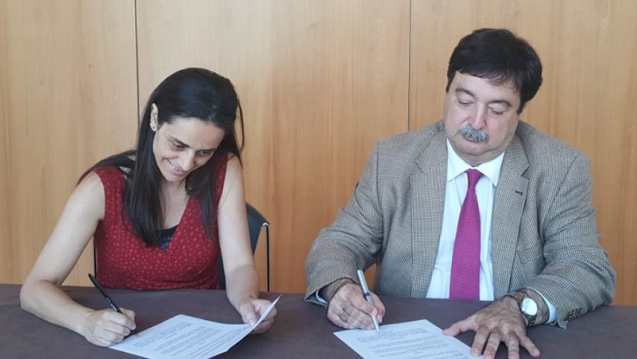 Bequinor firma coashiq 19356