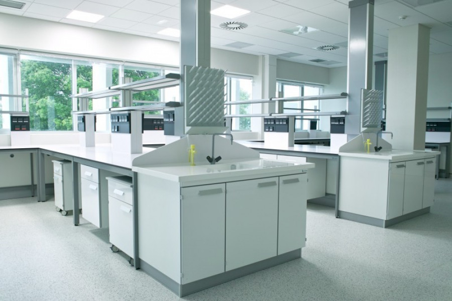 Burdinola laboratorio 19464
