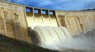 Embalsemontoro 123rf 16797