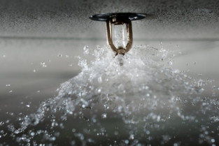 Rociadores sprinklers 15548
