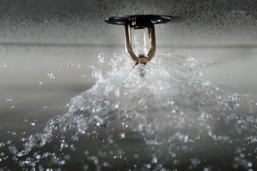 Rociadores sprinklers 15548
