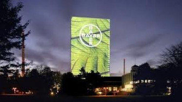 Bayer b 12436