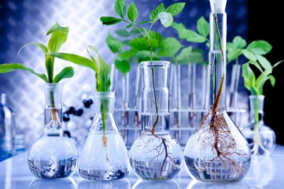 Biotecnologia verde 123rf b 12186
