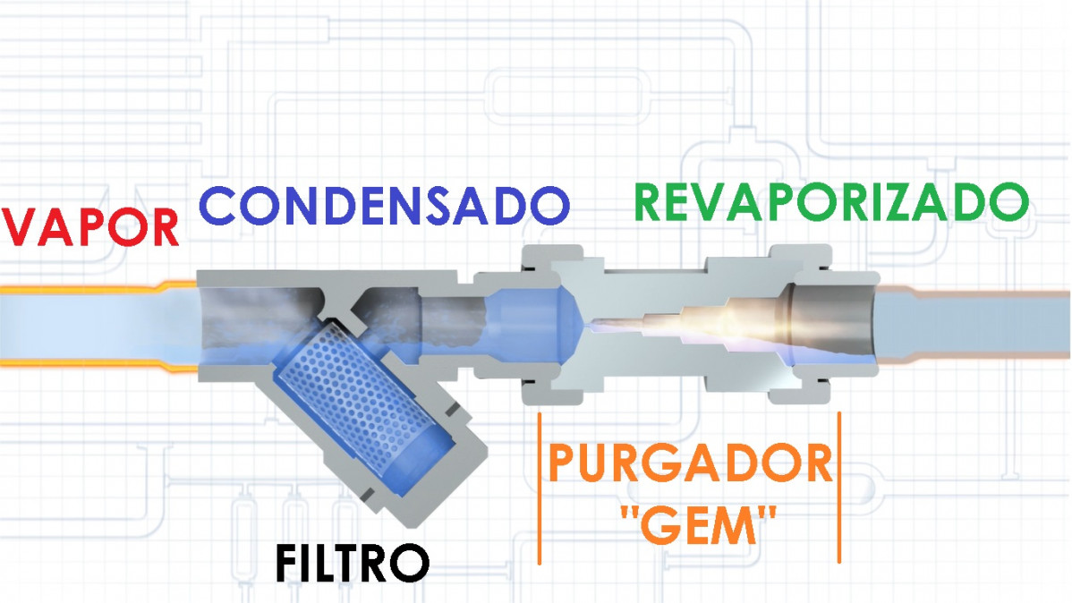 GEM Seccion Funciu00f3n Tu00edtulos