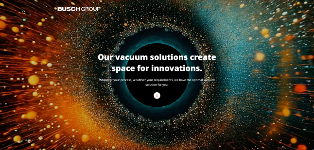 Busch Group web